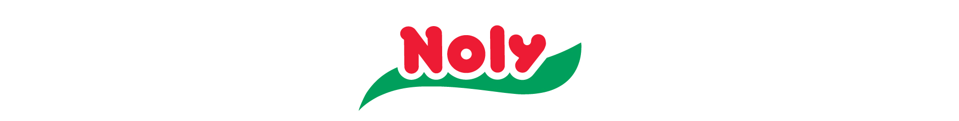 Web Site