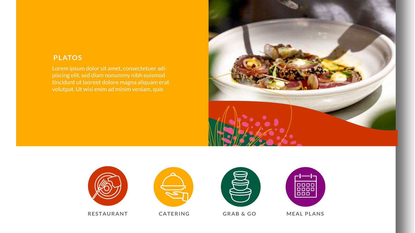 Branding Pikoteo – Washington DC, USA.