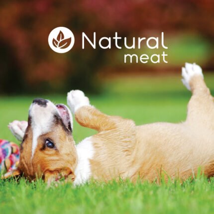 Natura Meat – Social Media