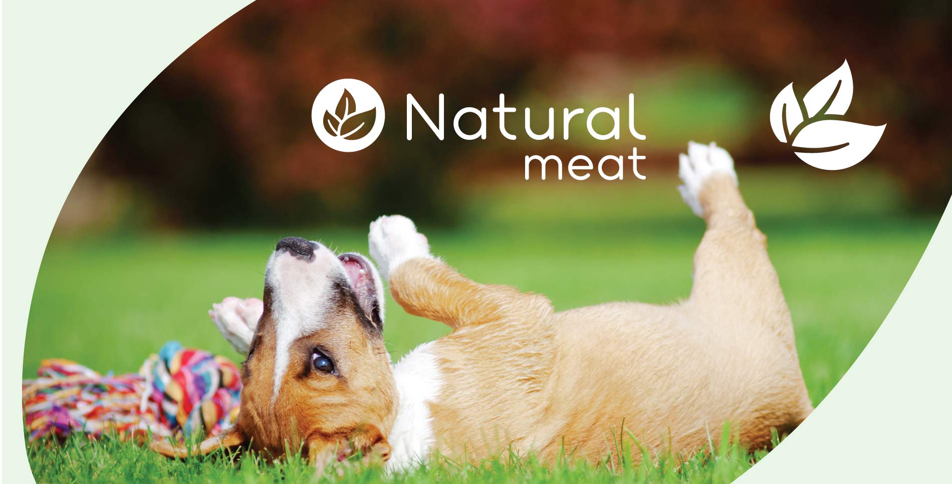 Natura Meat – Social Media