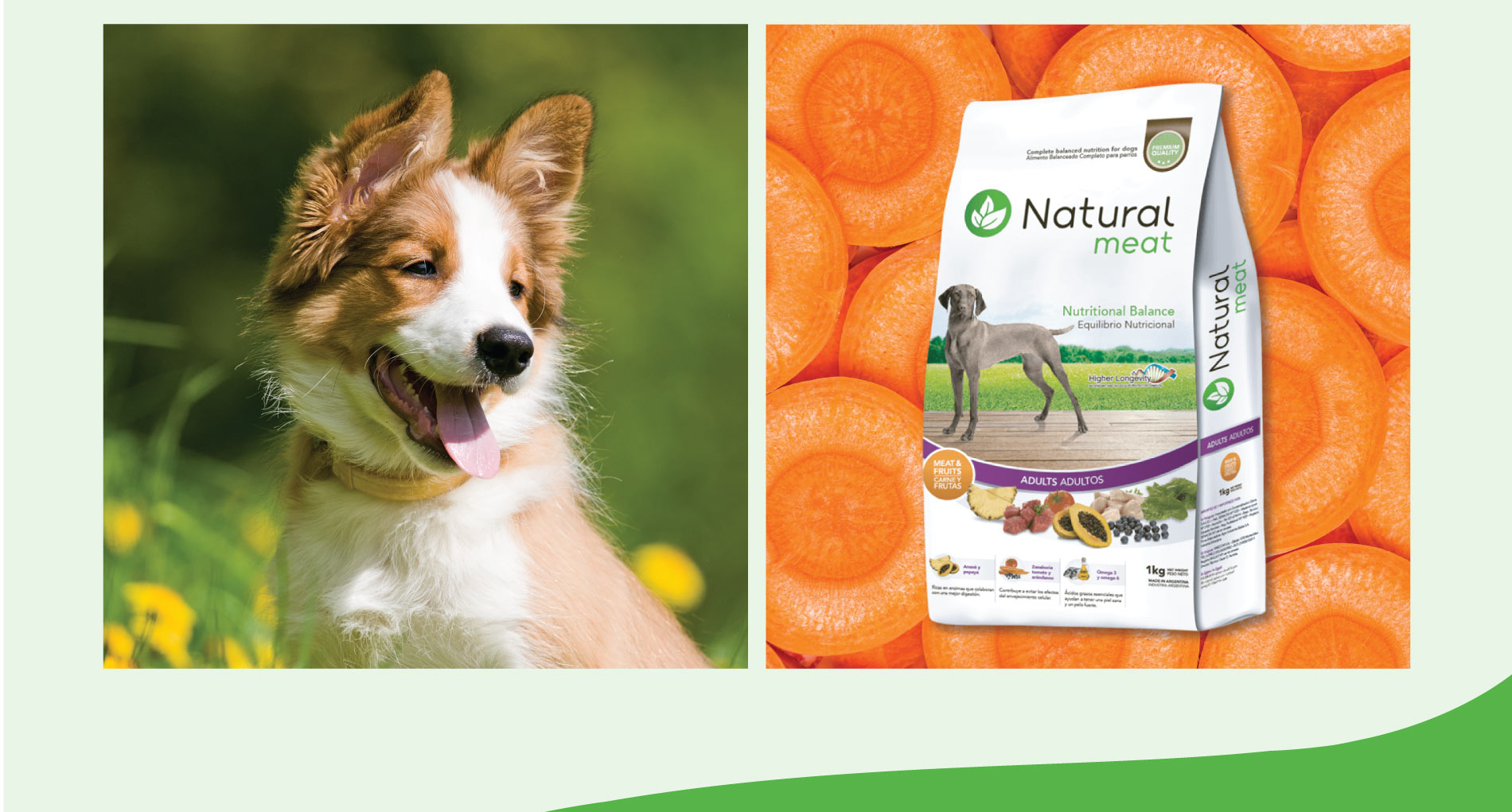 Natura Meat – Social Media