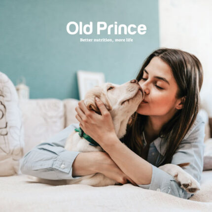 Old Prince – Social Media