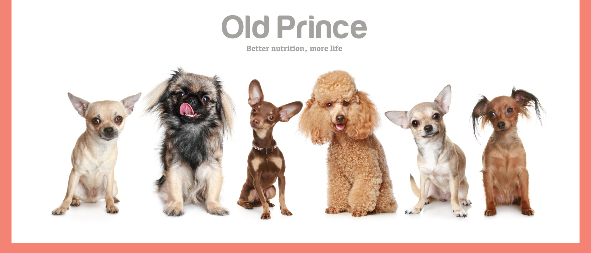 Old Prince – RRSS