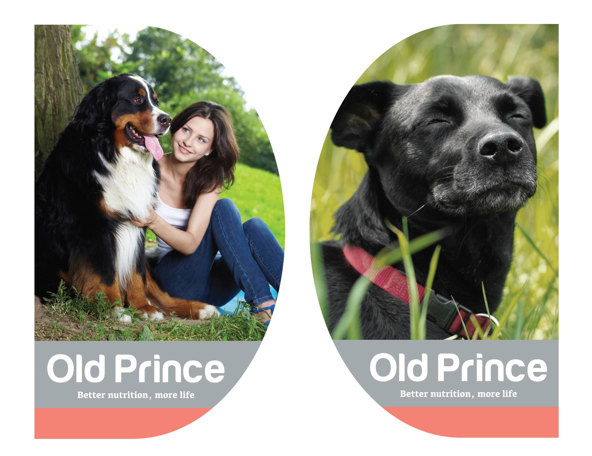 Old Prince – POP and PDV
