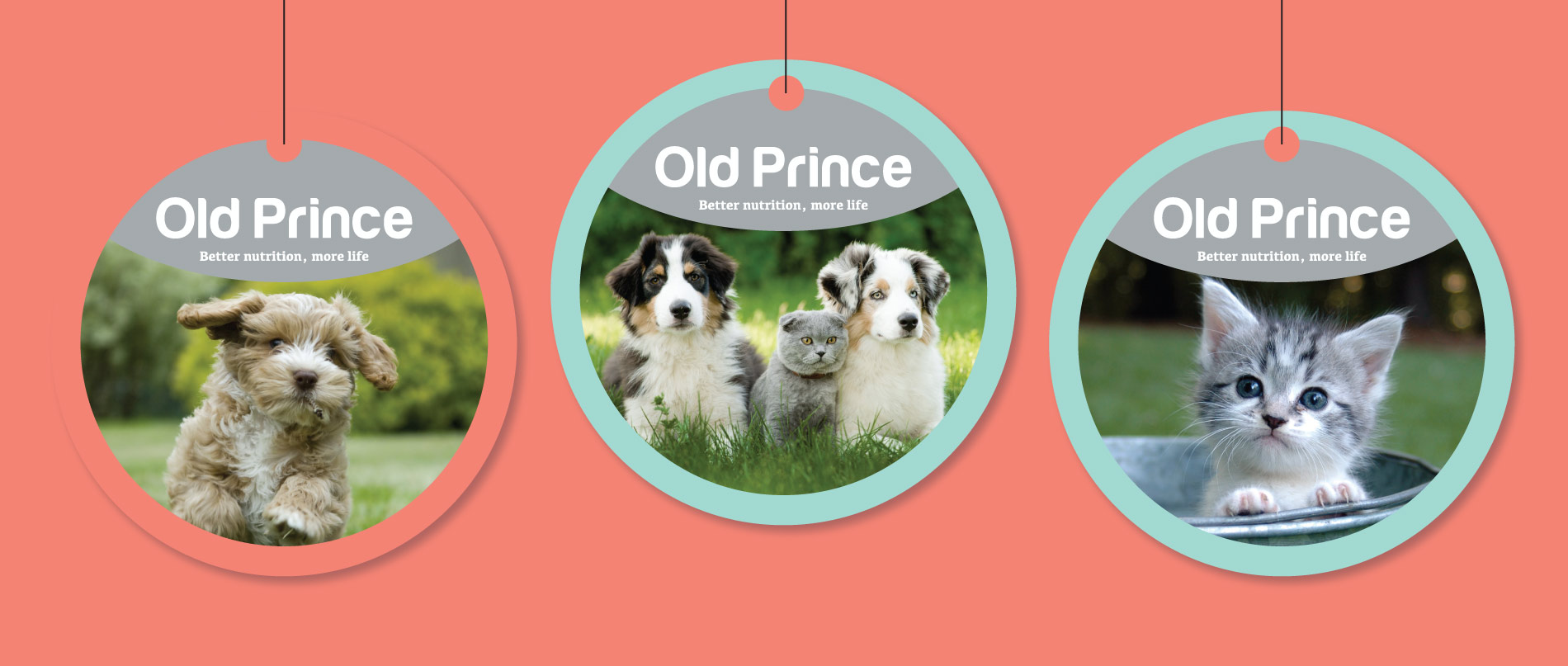 Old Prince – POP and PDV