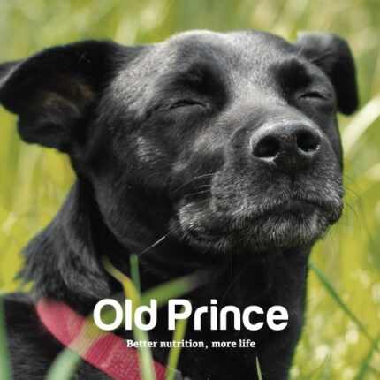 Old Prince – POP and PDV