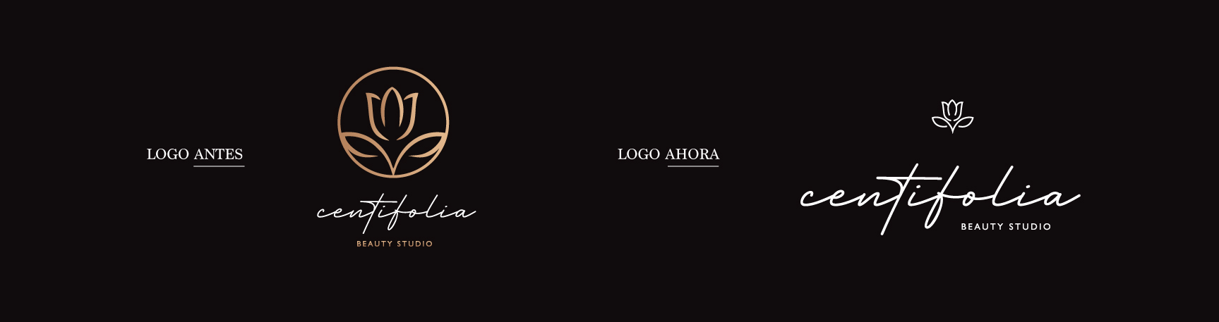 Centifolia – Branding