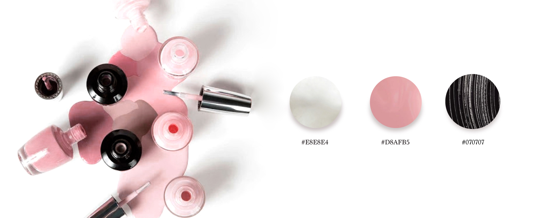 Centifolia – Branding