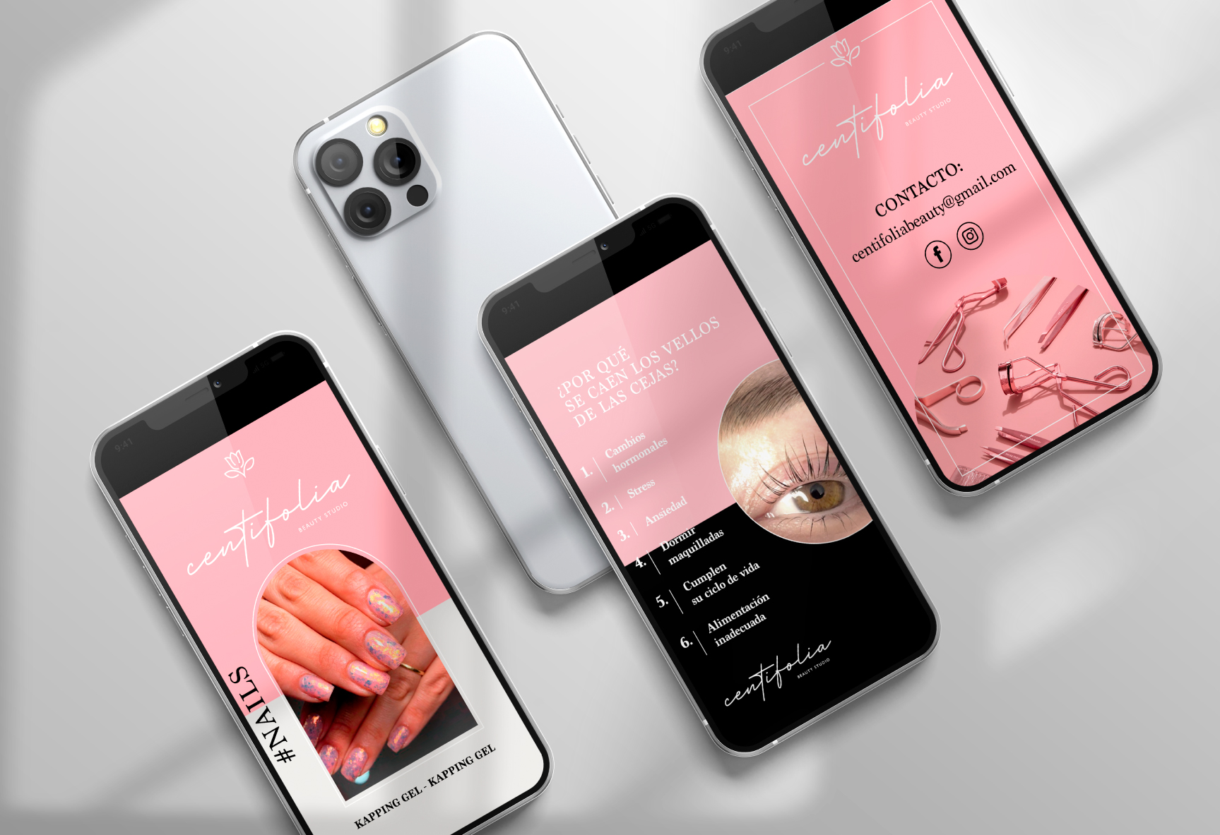 Centifolia – Branding