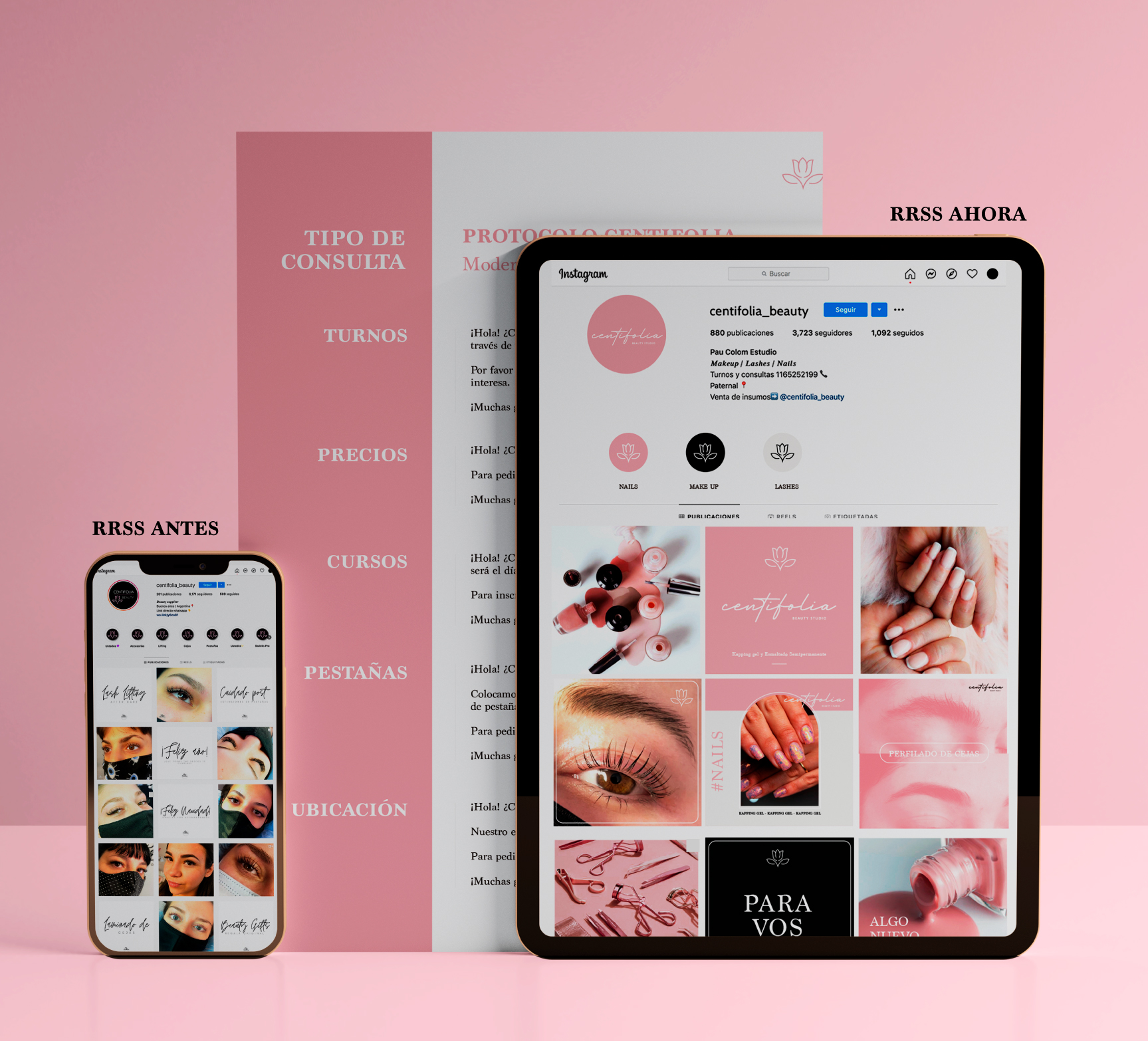 Centifolia – Branding