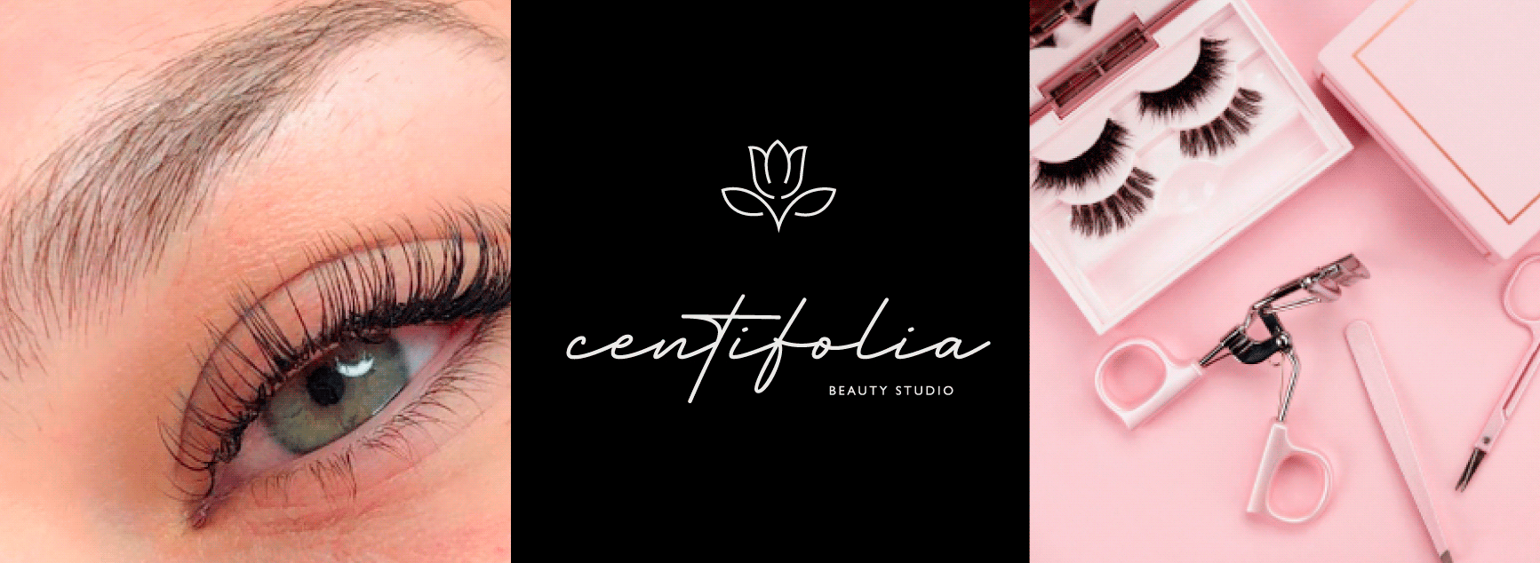 Centifolia – Branding