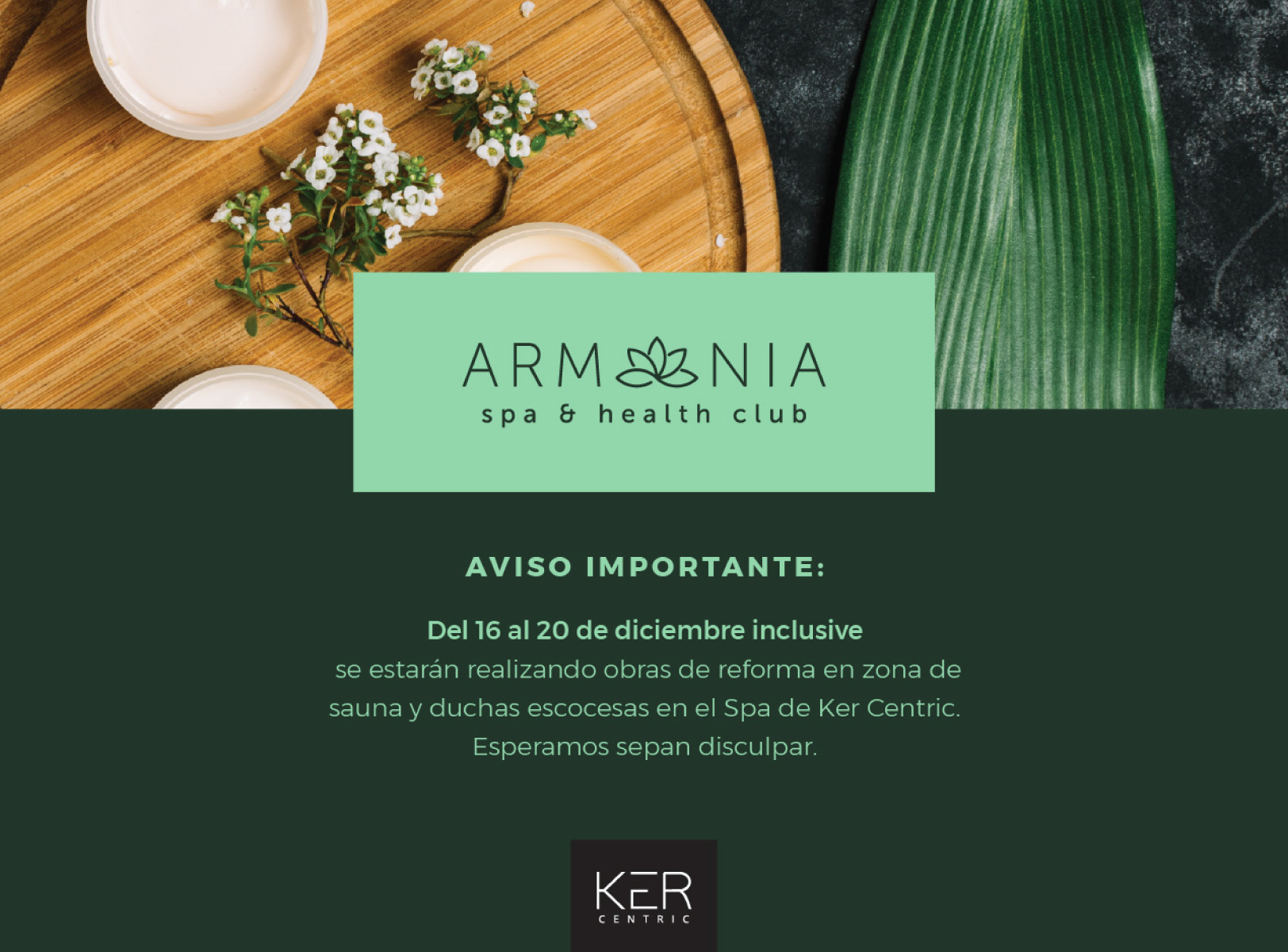 Armonia Spa – Branding