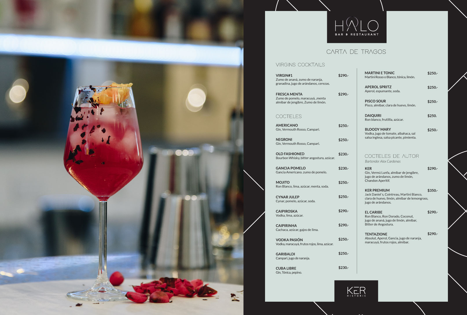 Halo – Branding