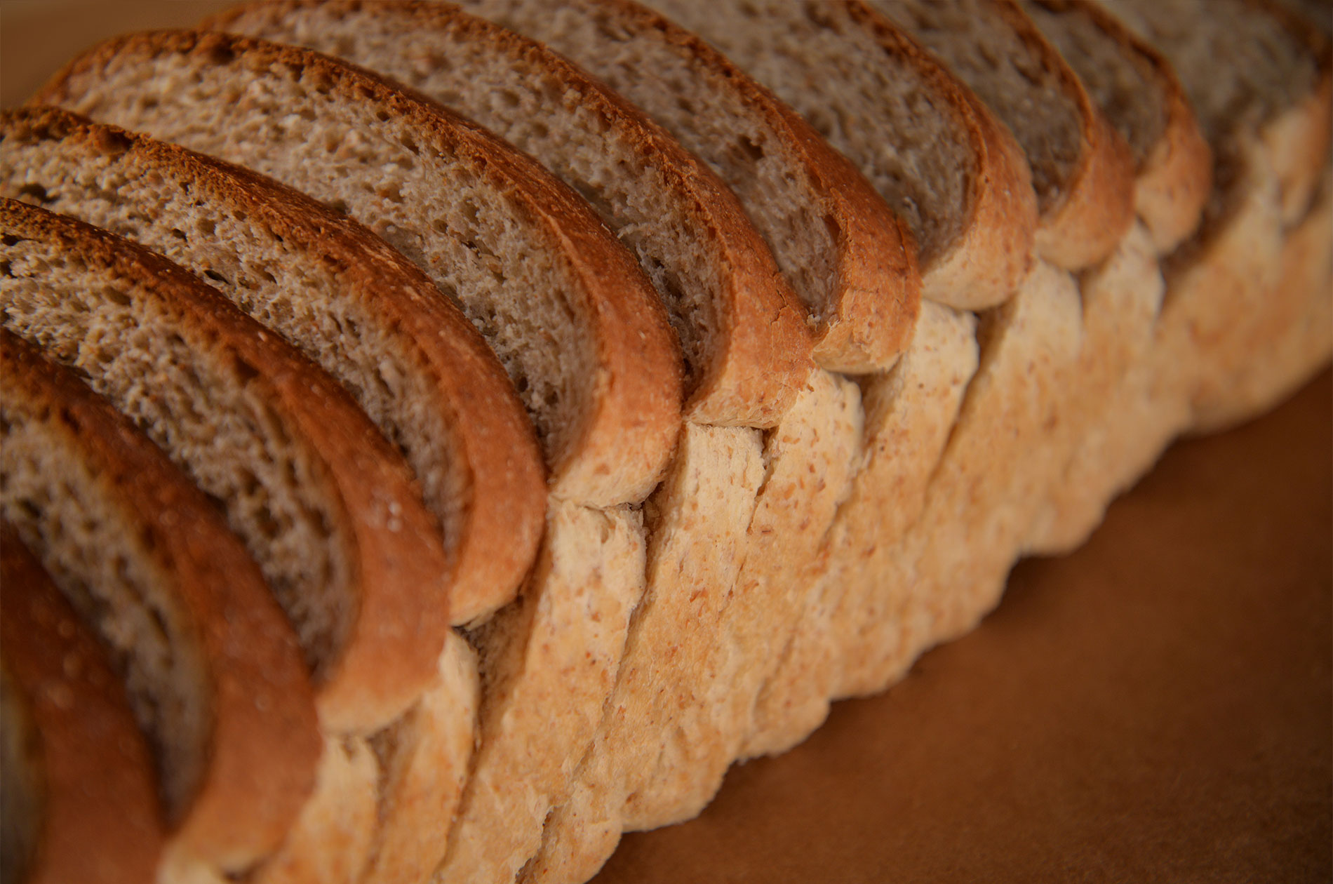 Noly – Product Photography