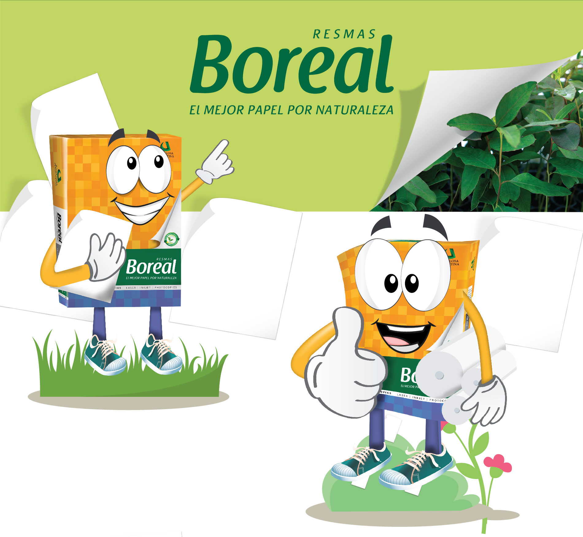 Boreal – Schools Cycle