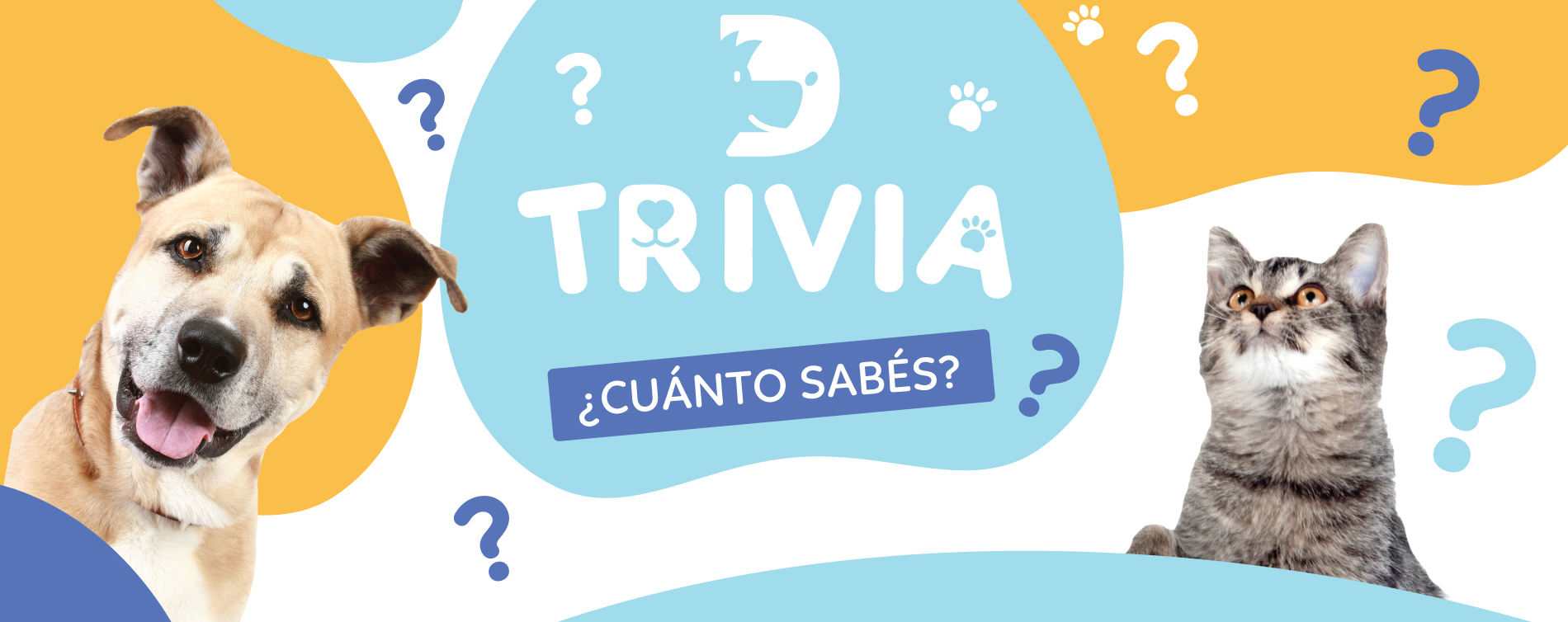 Trivia
