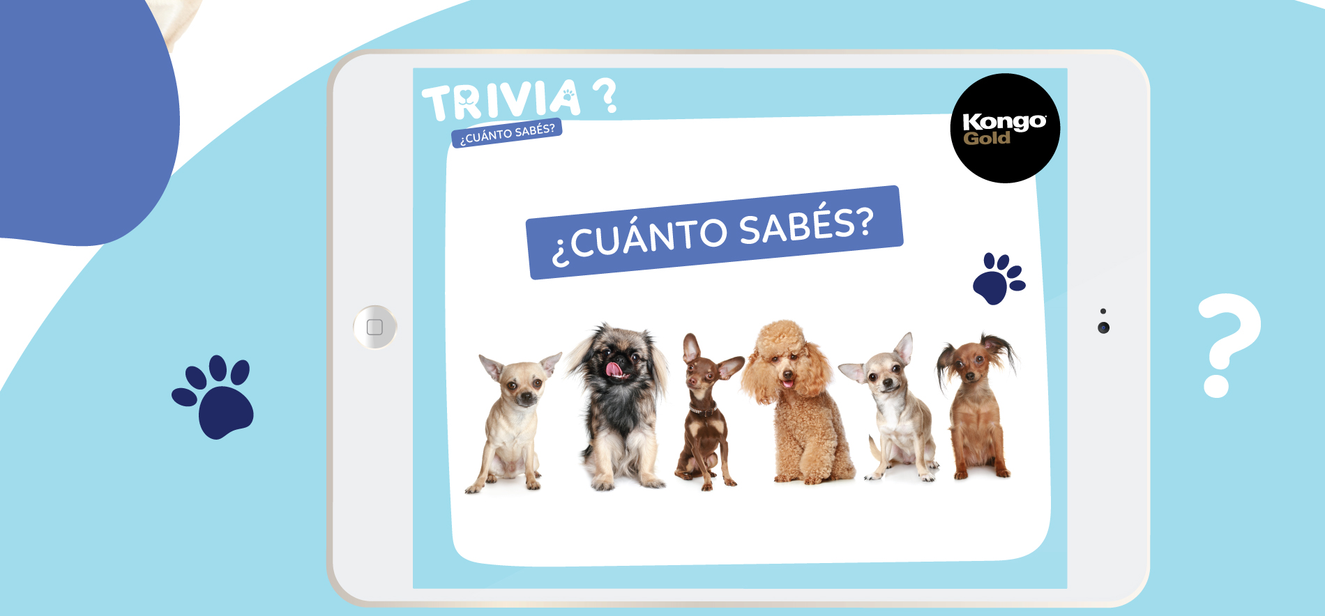 Trivia