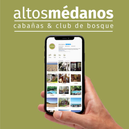 Altos Médanos – Rebranding