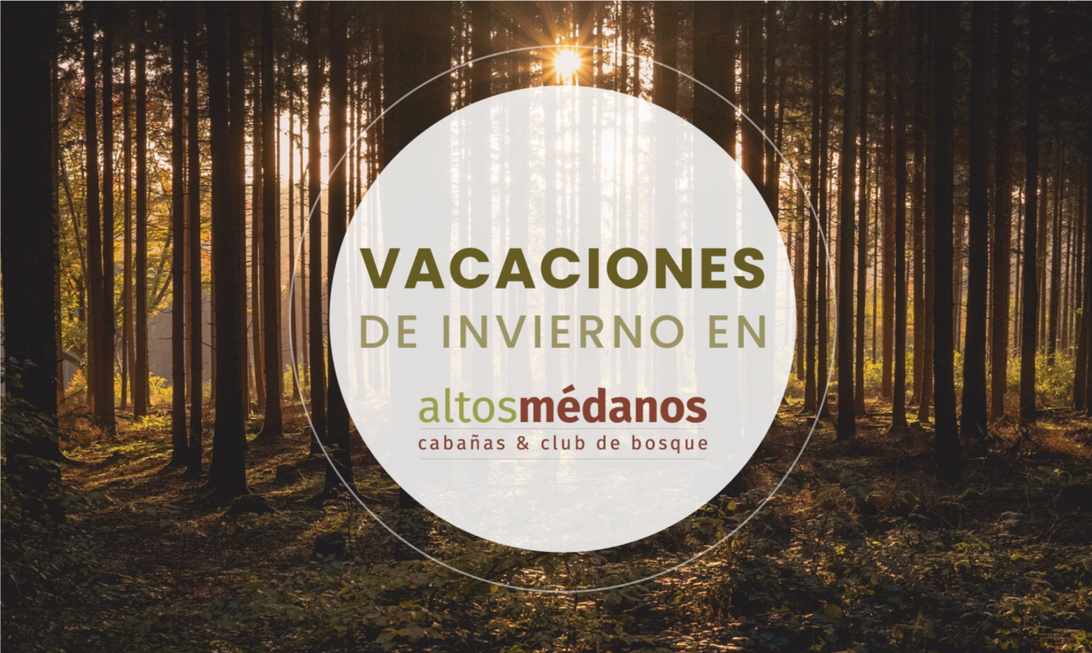 Altos Médanos – Rebranding