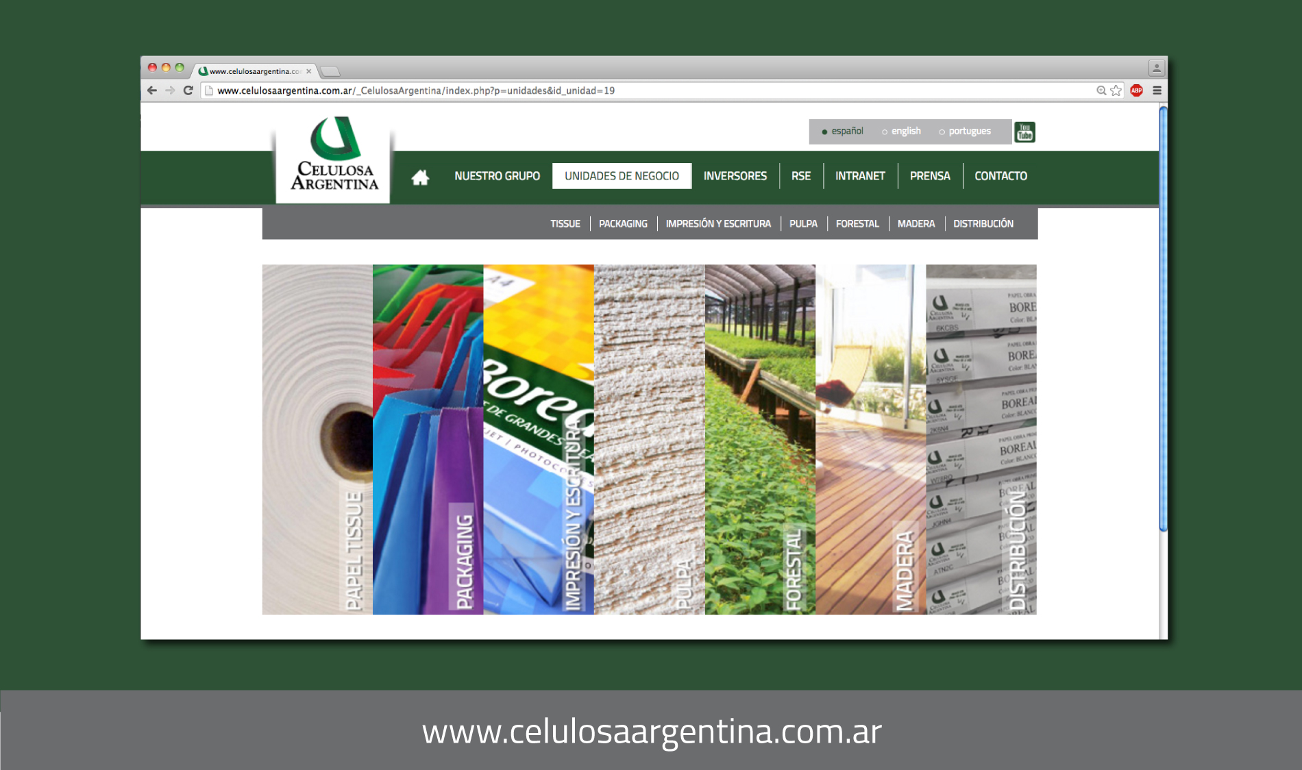 Institutional website