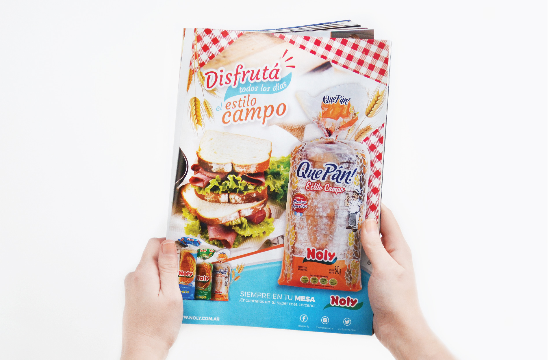 Noly – QuePan Notice!