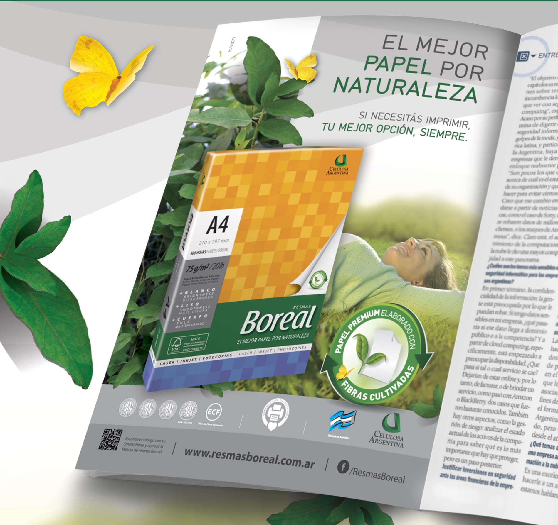 Boreal – Notice the best paper