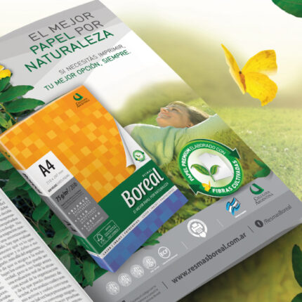 Boreal – Notice the best paper