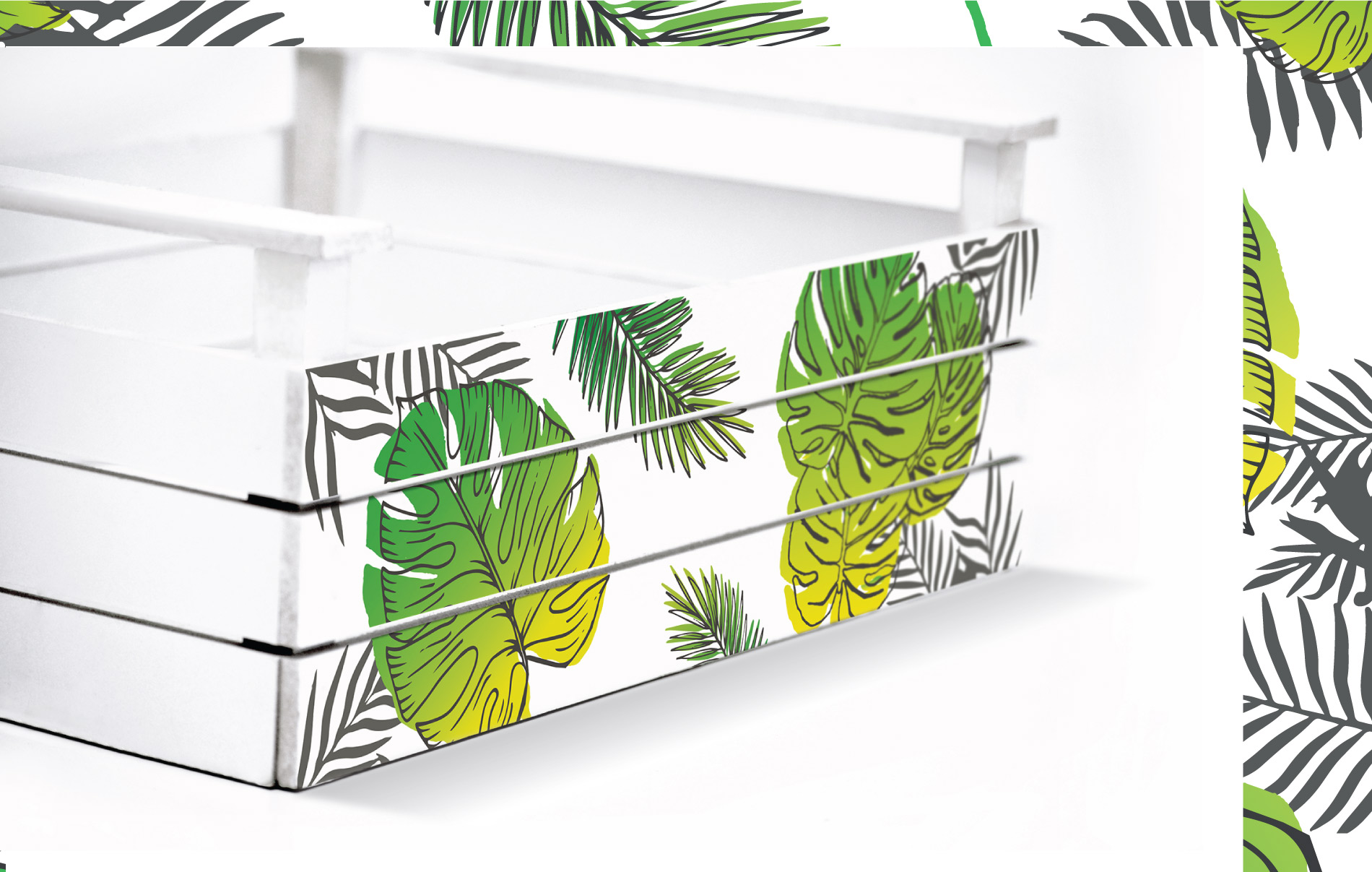 Diseño de Productos – Hojas Tropicales