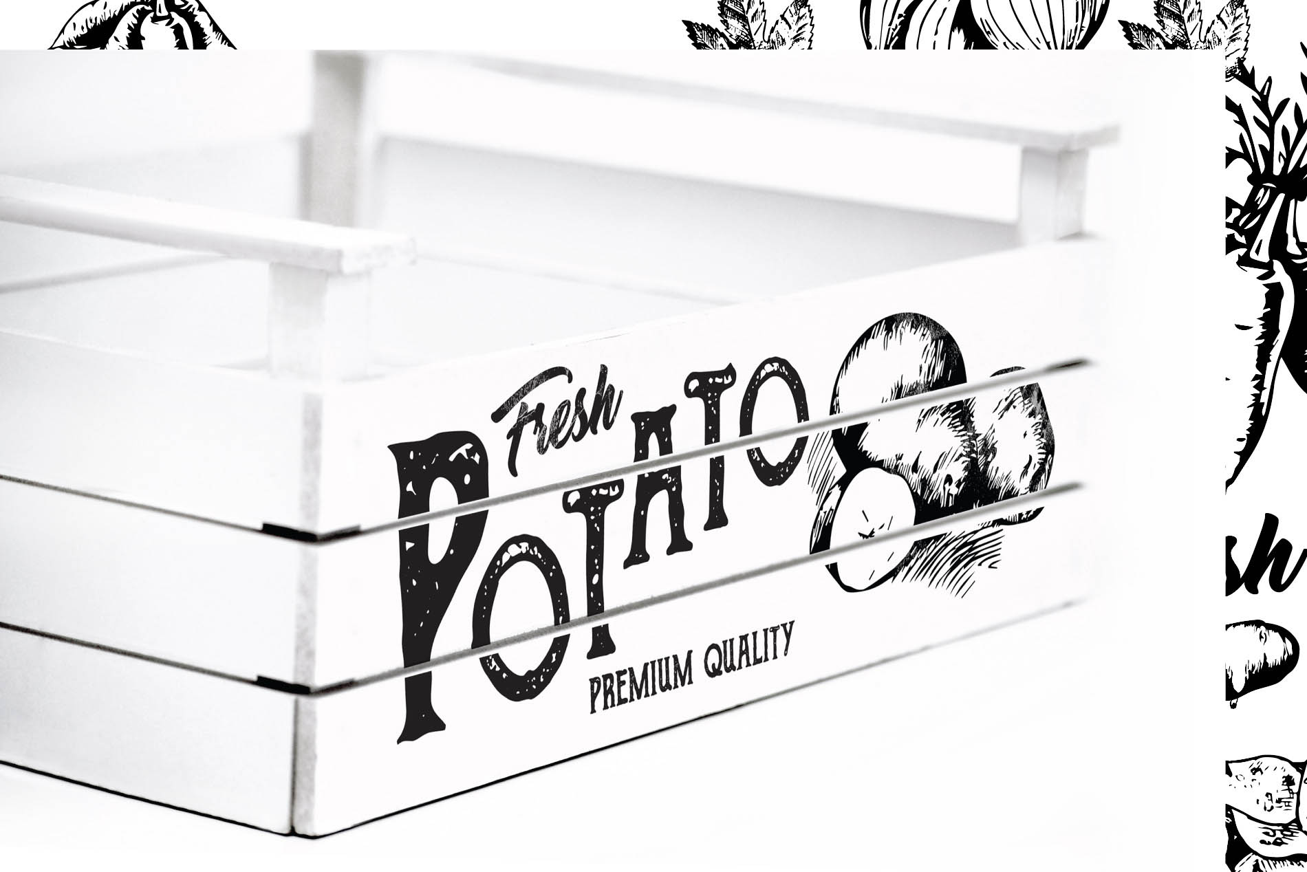 Diseño de Productos – Blanco y Negro