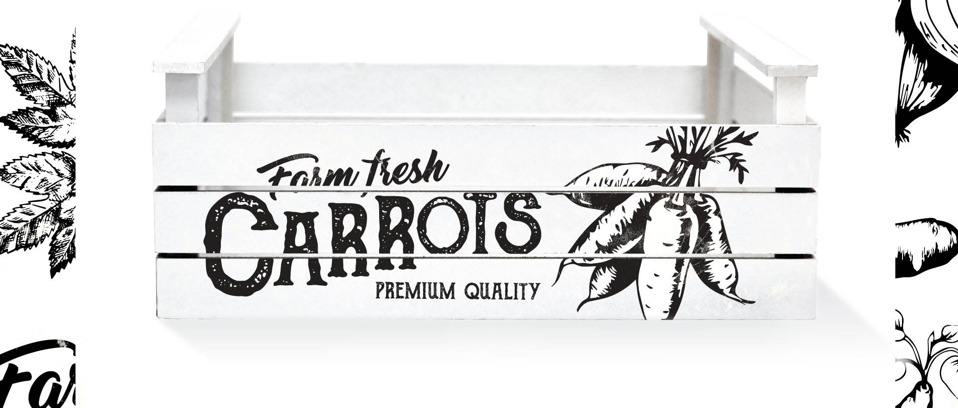Diseño de Productos – Blanco y Negro