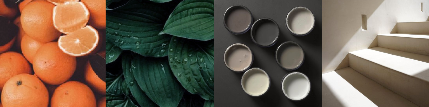 Quuo – Branding