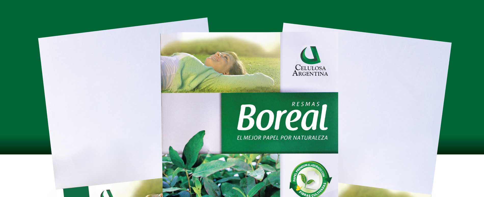Boreal – POP