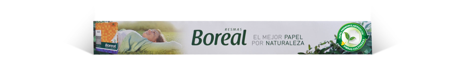 Boreal – POP