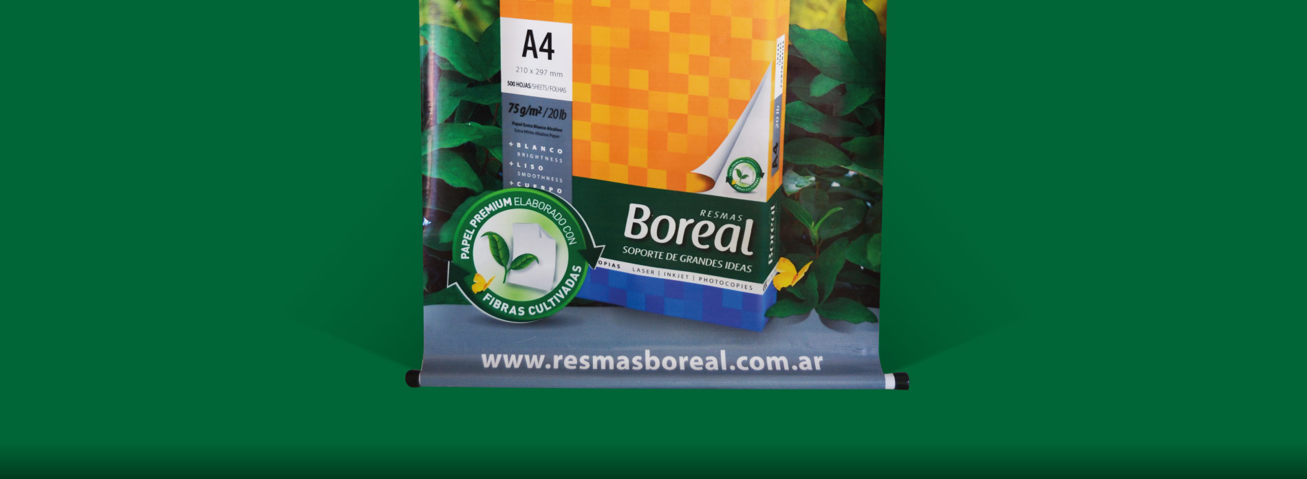 Boreal – POP