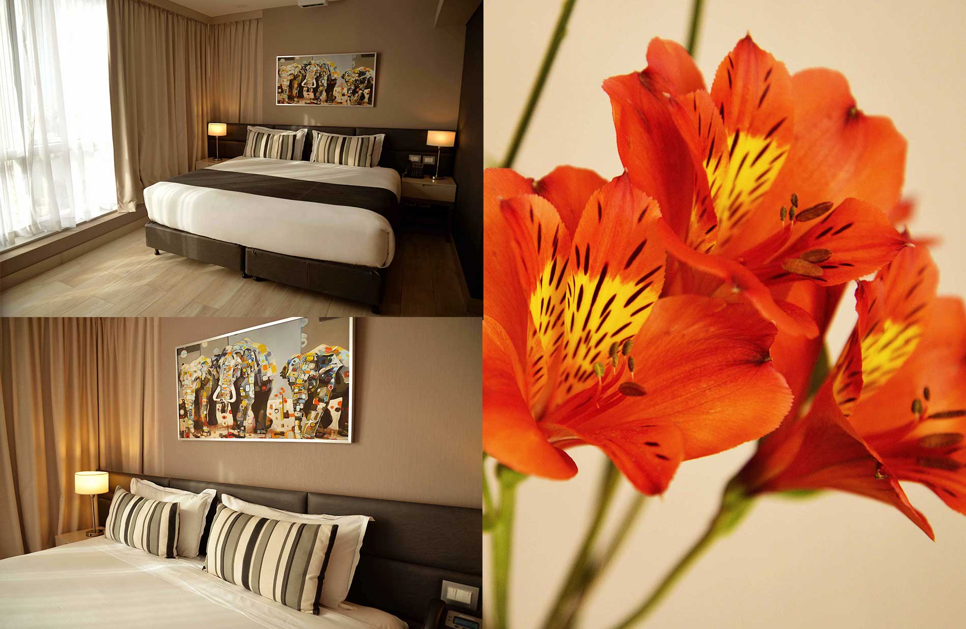 Grandview – Hotel Photography