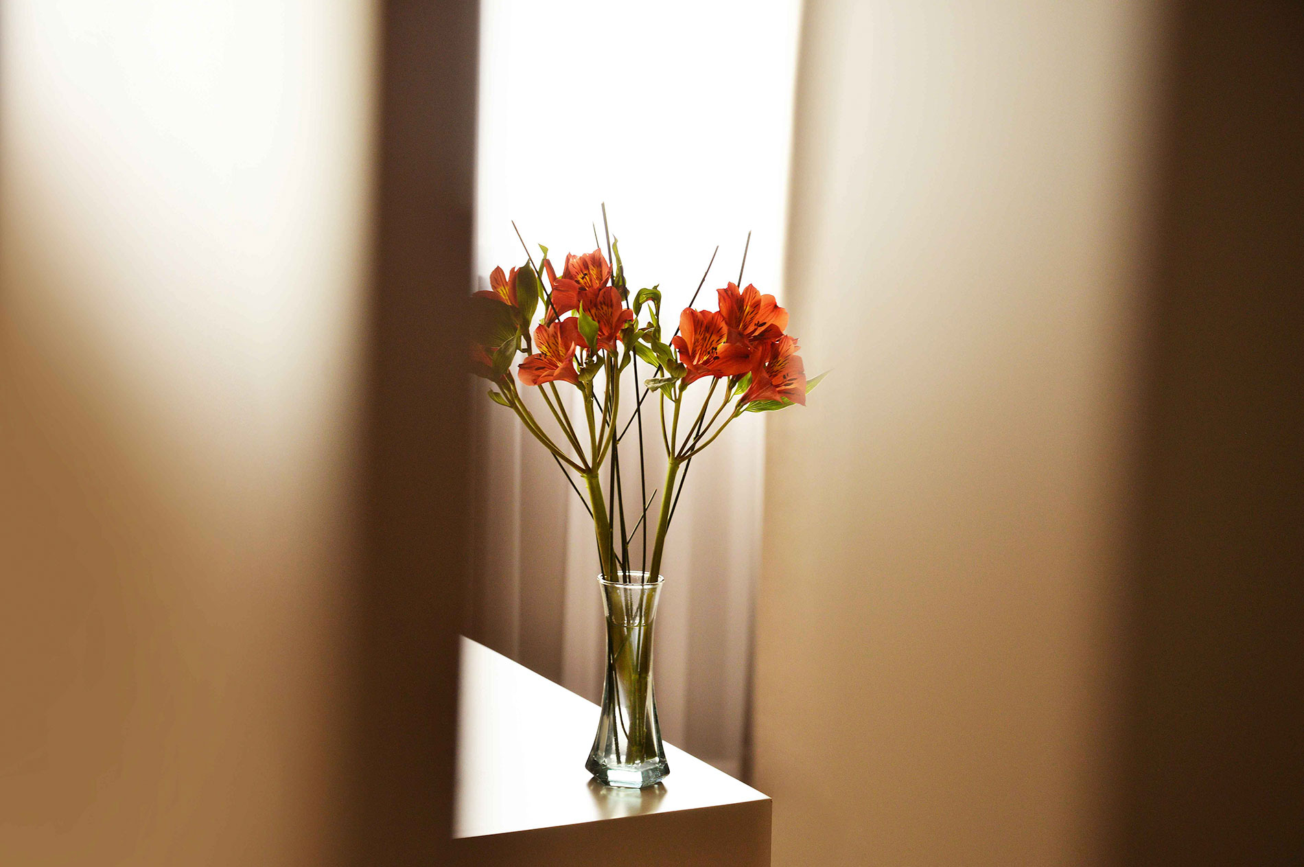Grandview – Hotel Photography