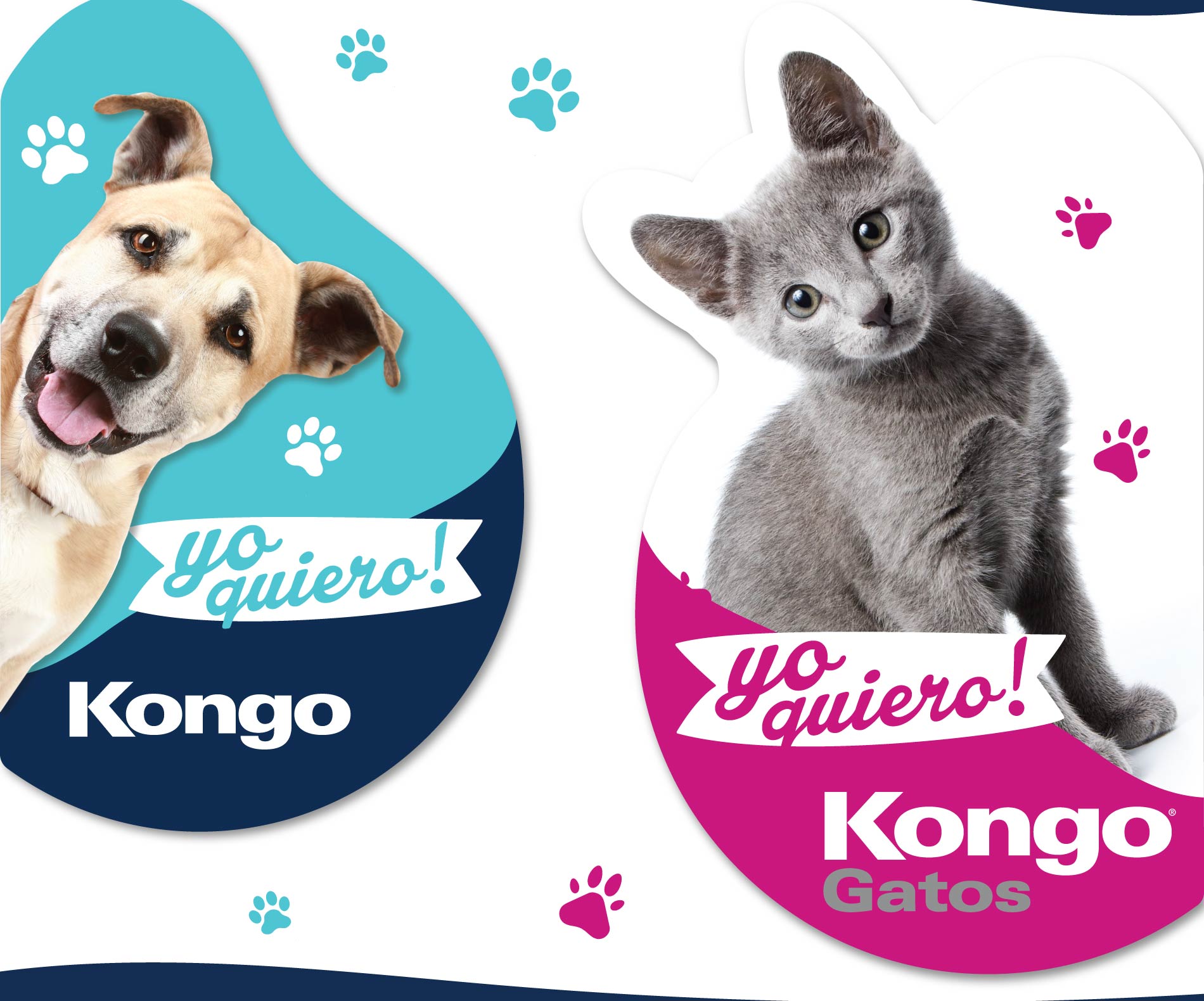 Kongo – POP Puntos de Venta