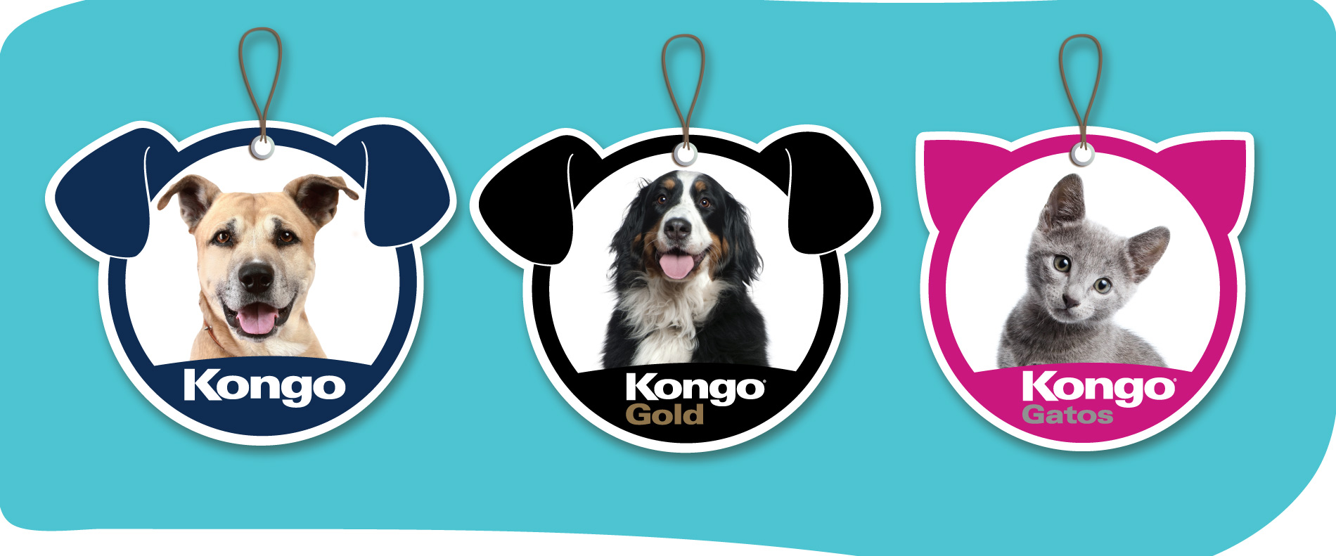 Kongo – POP Puntos de Venta