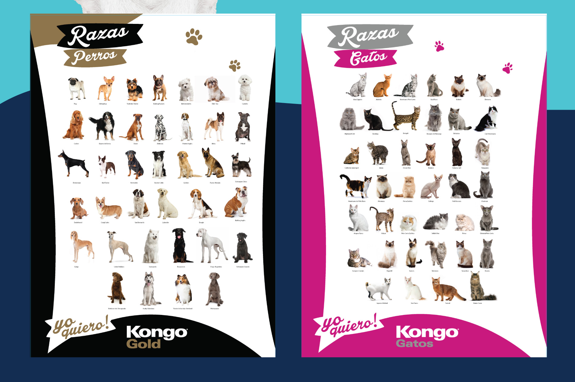 Kongo – POP Puntos de Venta