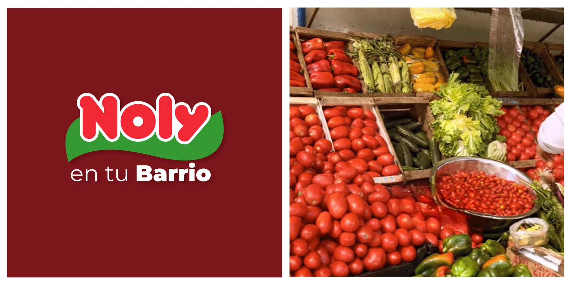 Contenido y comunidad Noly