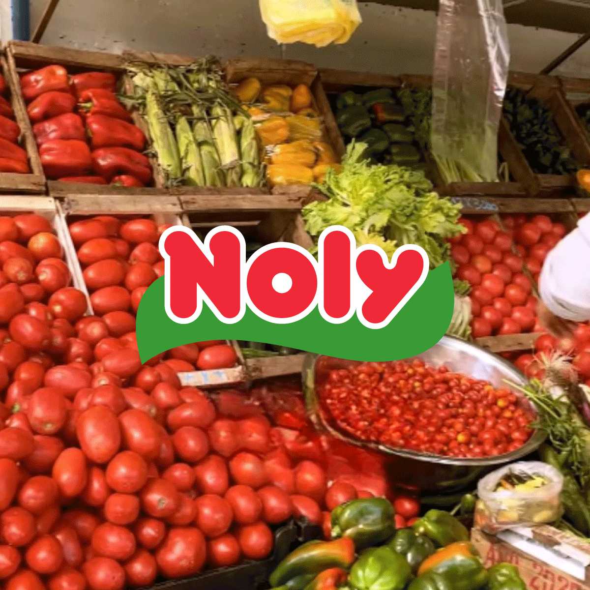 Contenido y comunidad Noly