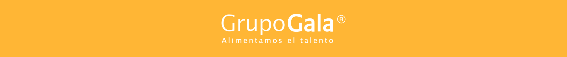 Website Grupo Gala